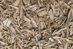 biomass boilers Milnafua